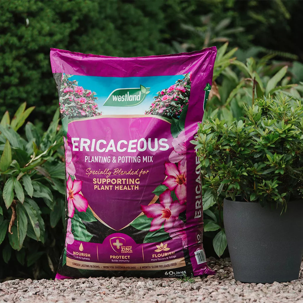 Ericaceous Planting & Potting Mix Pouch 10L