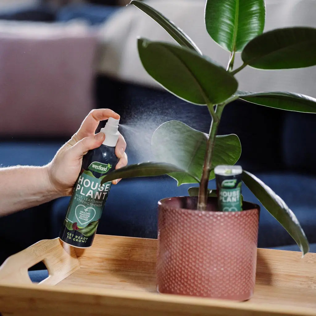 house plant leaf shine Westland Houseplant Mist & Leaf Shine 250ml – Easy Garden Centre