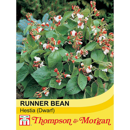 Dwarf Runner Bean Hestia-Easy Garden Centre