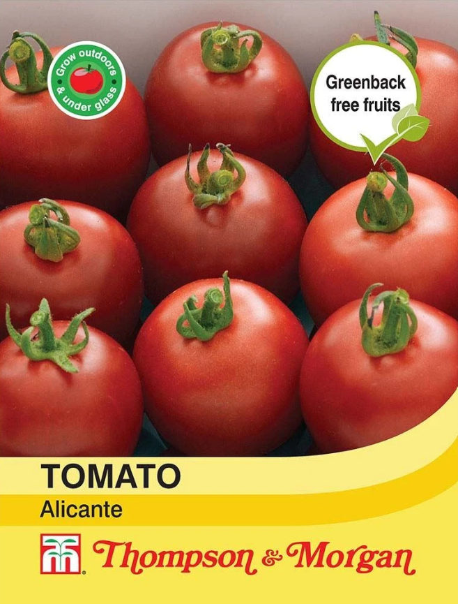 Tomato Alicante-Easy Garden Centre