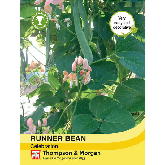 Runner Bean Celebration-Easy Garden Centre