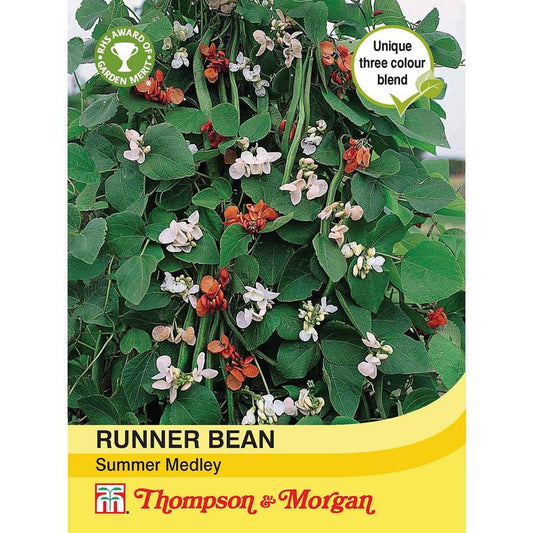 Runner Bean Summer Medley-Easy Garden Centre