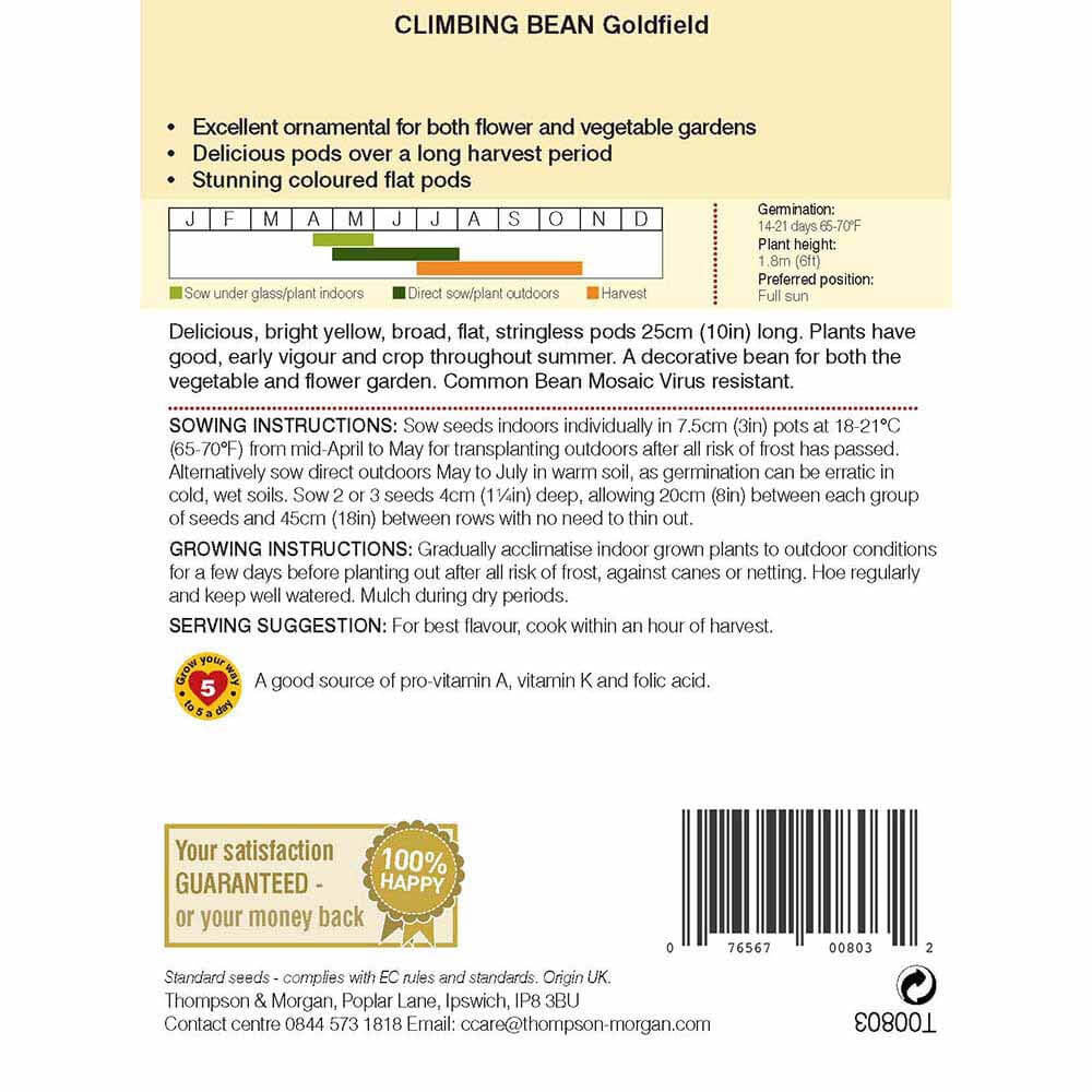 Climbing Bean Goldfield-Easy Garden Centre