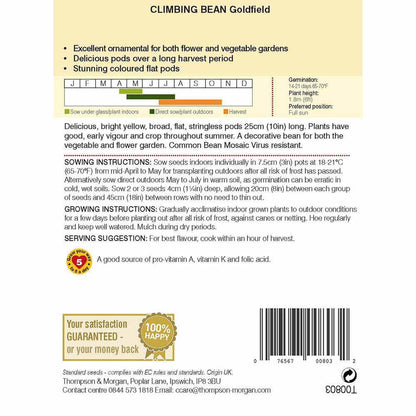Climbing Bean Goldfield-Easy Garden Centre