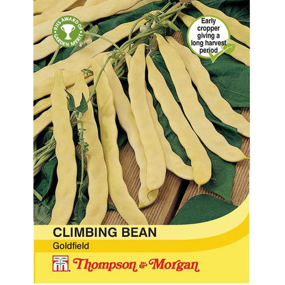 Climbing Bean Goldfield-Easy Garden Centre