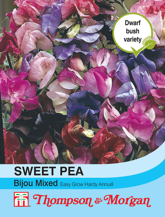Sweet Pea Bijou Mixed-Easy Garden Centre