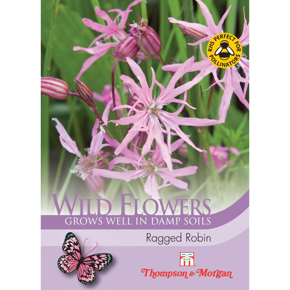 Wild Flower Ragged Robin-Easy Garden Centre