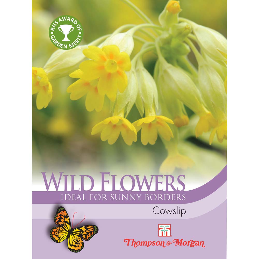 Wild Flower Cowslips (Primula veris-Easy Garden Centre
