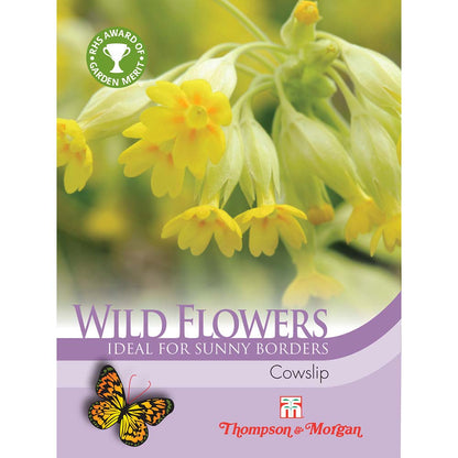 Wild Flower Cowslips (Primula veris-Easy Garden Centre