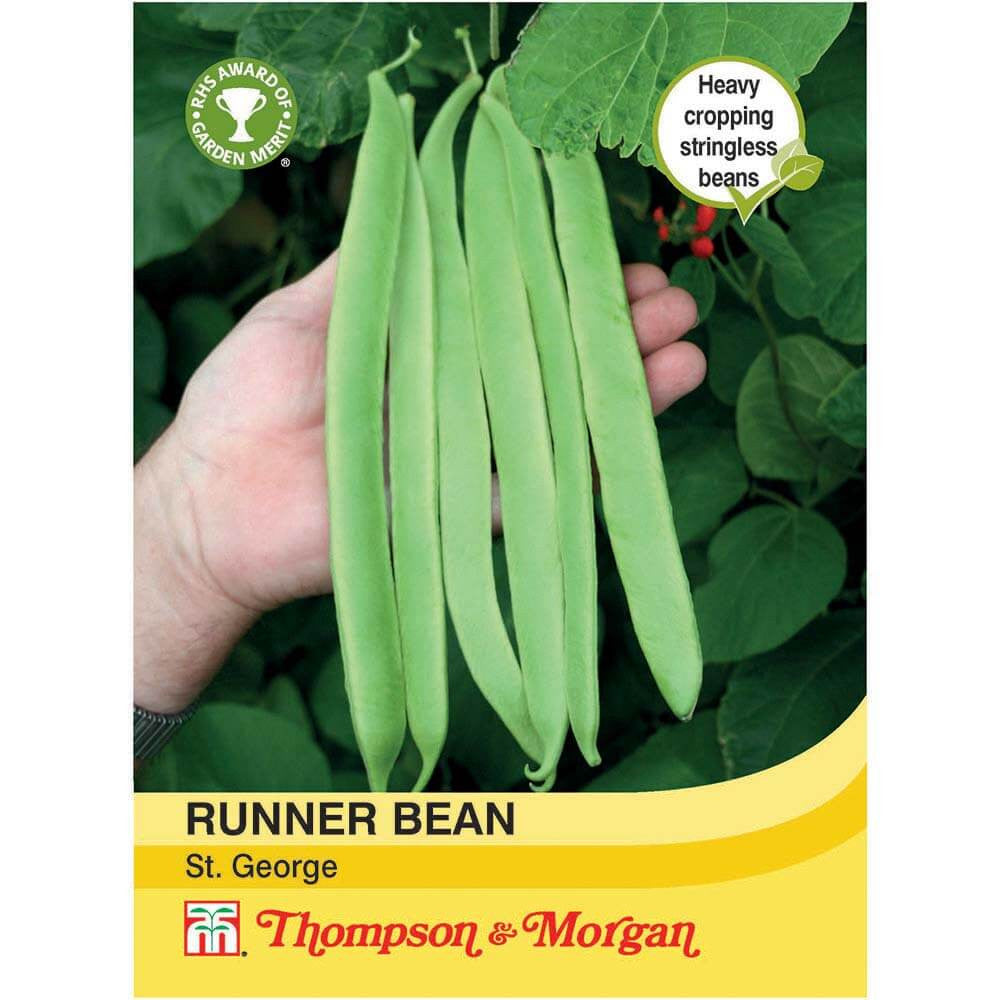 Runner Bean St. George-Easy Garden Centre