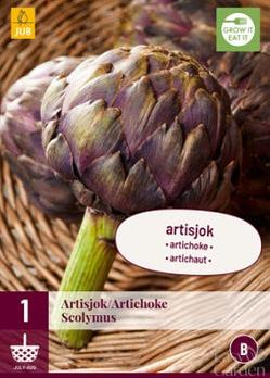 1 Cynara Scolymus (Artichoke)-Easy Garden Centre