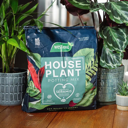 Westland Houseplant Potting Mix Peat Free 10L