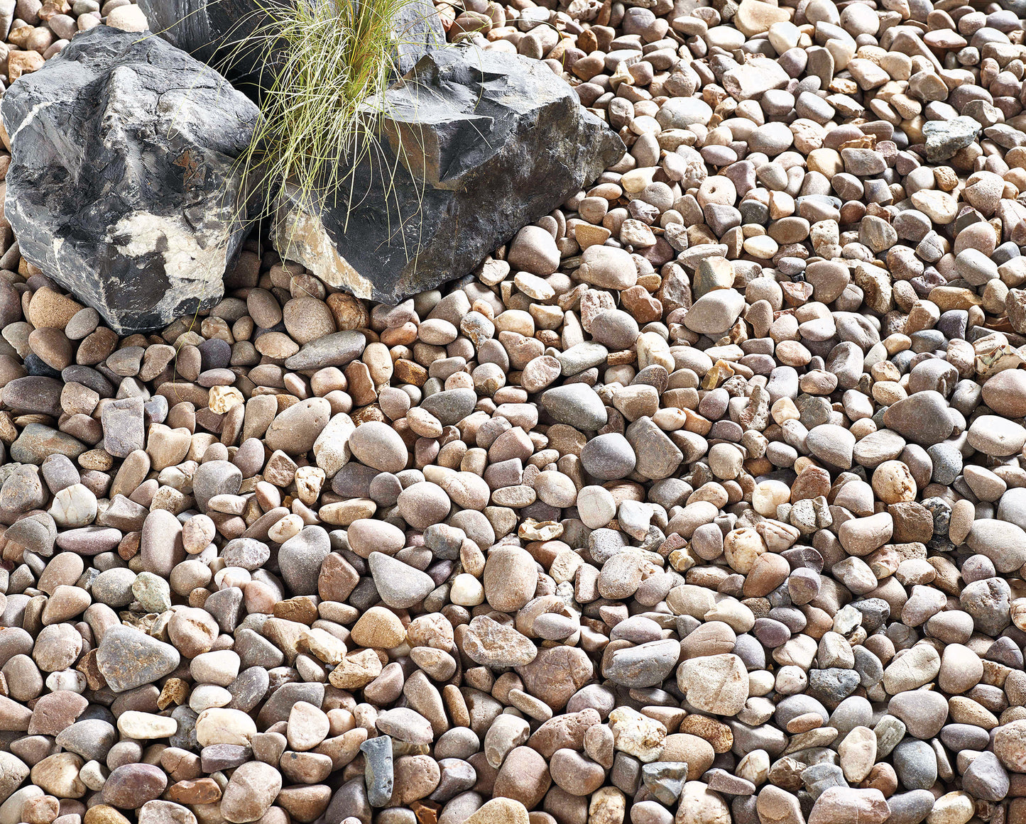 Coastal Pebbles