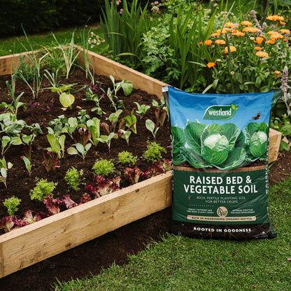 Raised bed and Vegetable Compost 40ltr