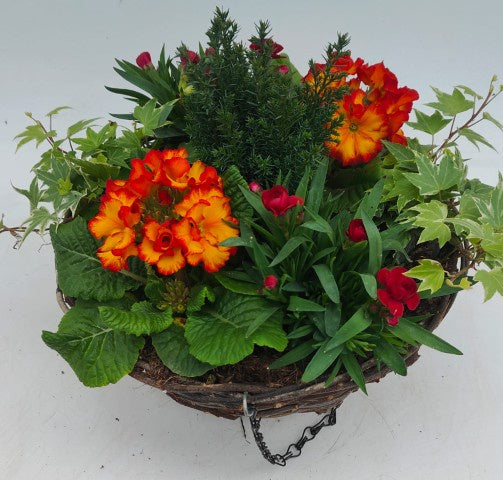 12" Rattan Hanging Basket