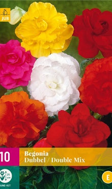 10 Begonia Double Mix