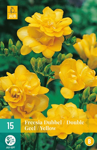 15 Freesia Double Yellow