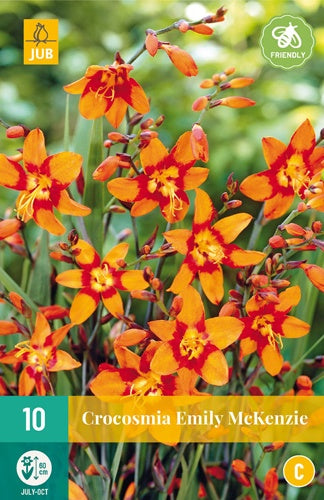 10 Crocosmia Emily Mckenzie