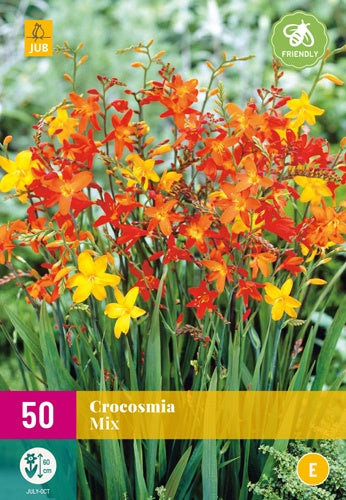 50 Crocosmia Mix