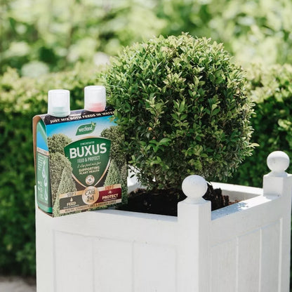 Westland Buxus 2 in 1 Feed & Protect 2 x 500ml