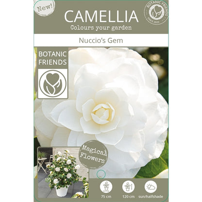 Camellia jap. 'Nuccio's Gem' / 3Ltr Premier-Easy Garden Centre