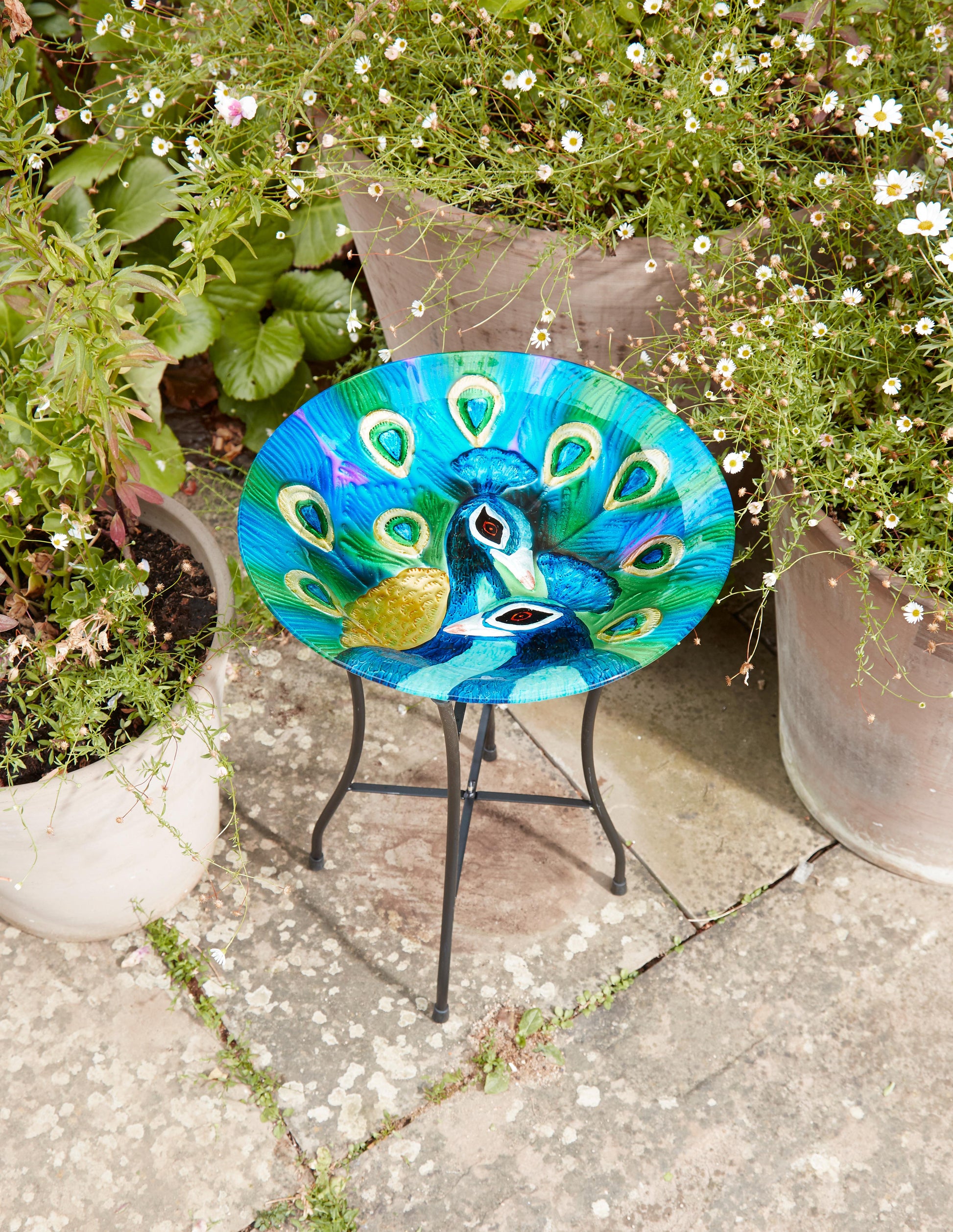 Peacock Glass Birdbath-Easy Garden Centre