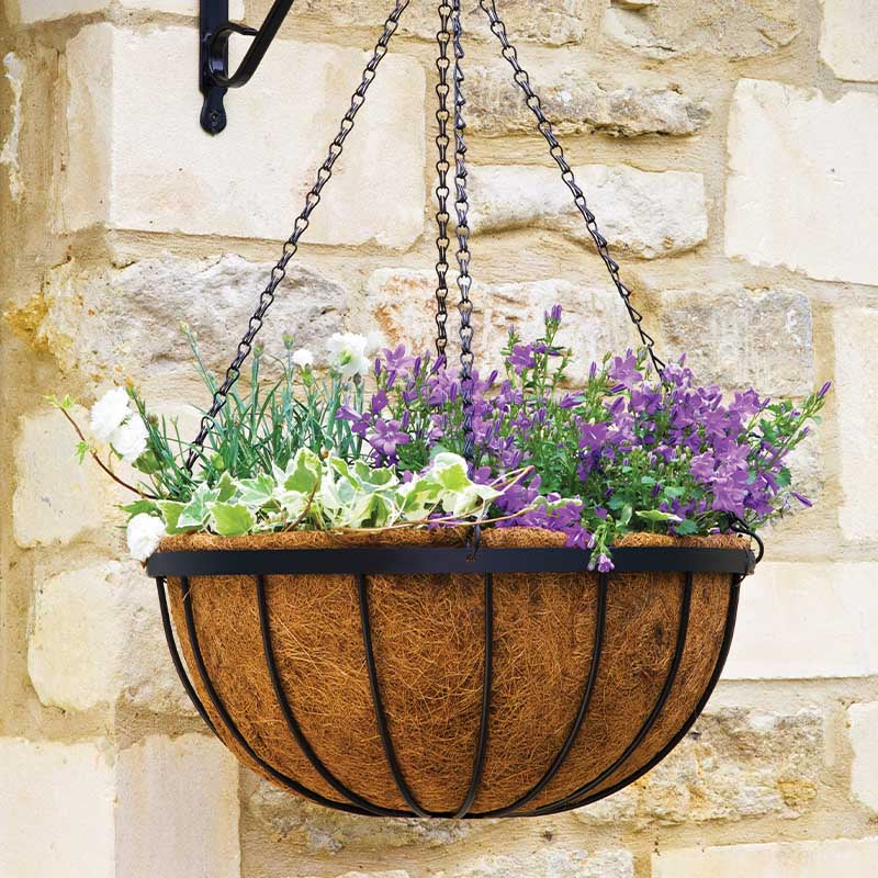 12in Saxon Hanging Basket-Easy Garden Centre