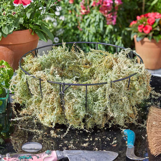 Sphagnum Moss - Large-Easy Garden Centre
