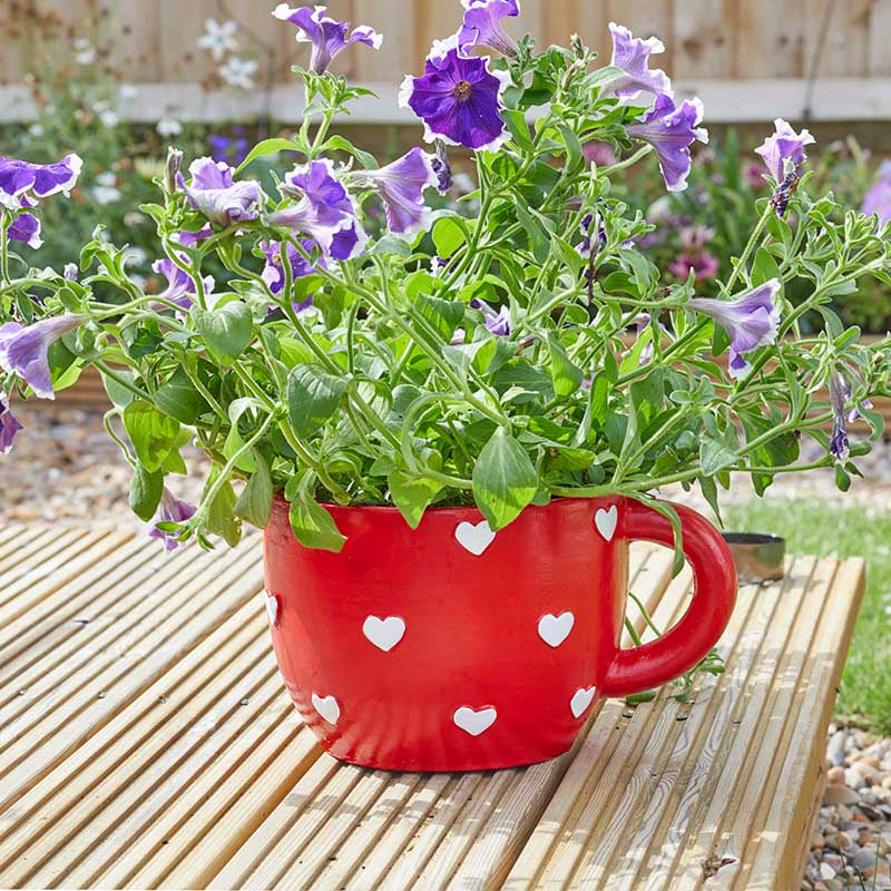 Teacup Heart Planter-Easy Garden Centre