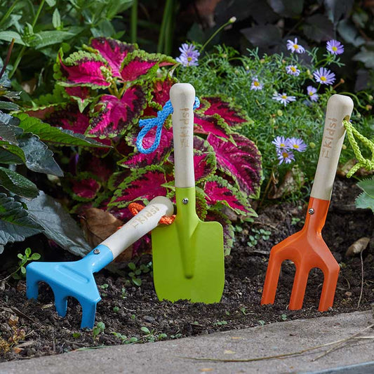 Fork Trowel & Rake - Kids FSC1-Easy Garden Centre