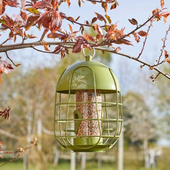 Acorn Squirrel Proof Seed Feeder