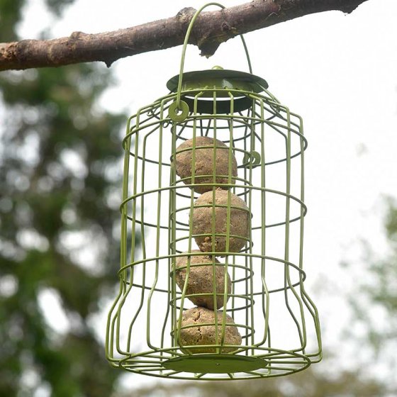 Squirrel Proof Suet Ball Feeder