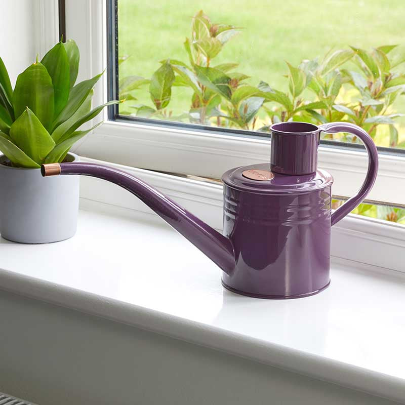 Home and Balcony Watering Can Violet-Easy Garden Centre