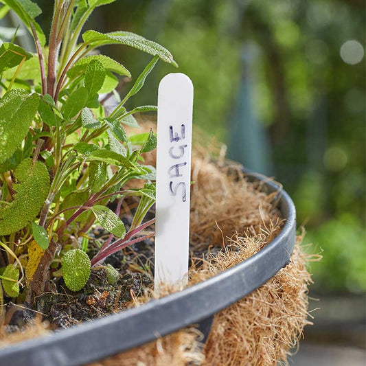 12.5cm Plant Labels 50pk-Easy Garden Centre