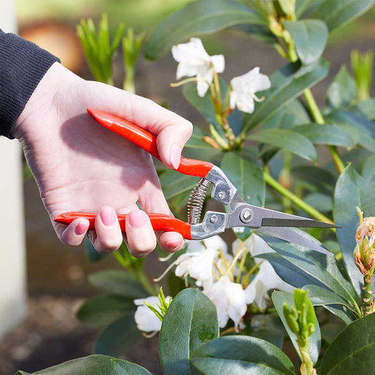 GardenSnips-Easy Garden Centre