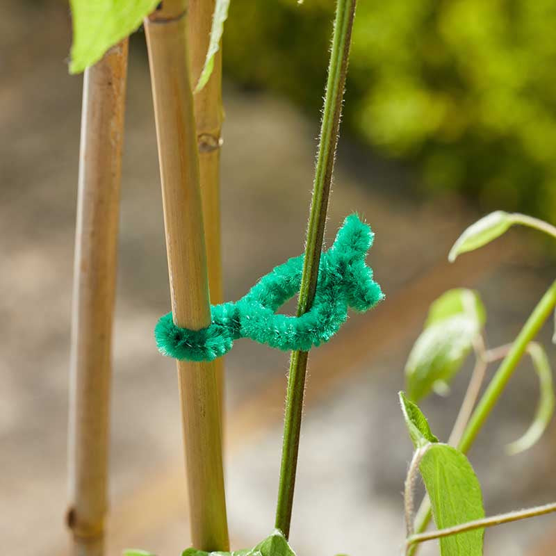 15cm SofTies 50pk-Easy Garden Centre