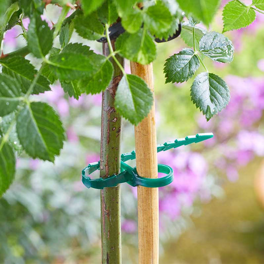 18cm AdjustaTies 50pk-Easy Garden Centre