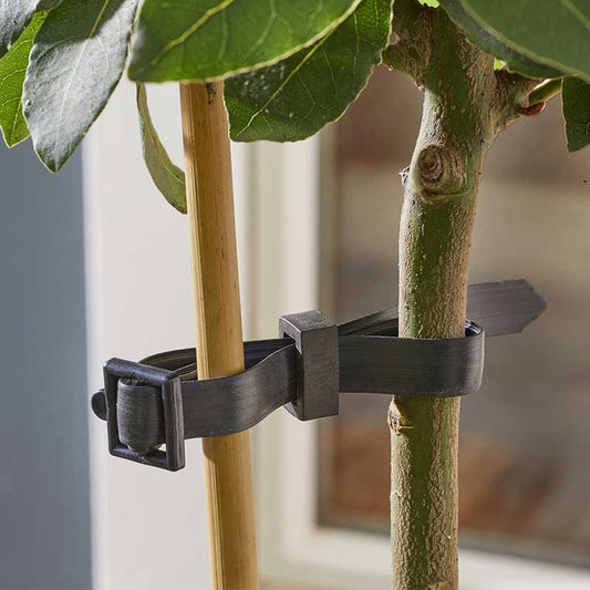 Buckle Rose & Shrub Ties 4pk-Easy Garden Centre