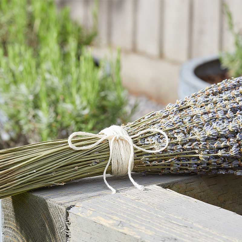 250g Cotton String-Easy Garden Centre