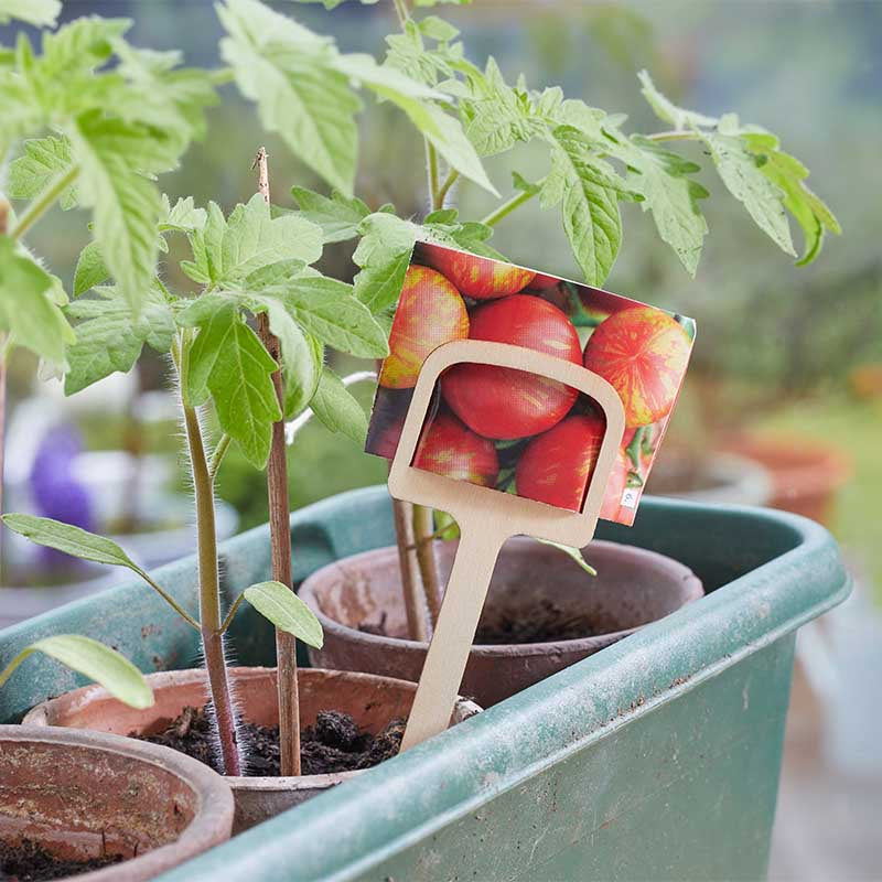 12.5 cm Wooden T Labels 10pk FSC1-Easy Garden Centre