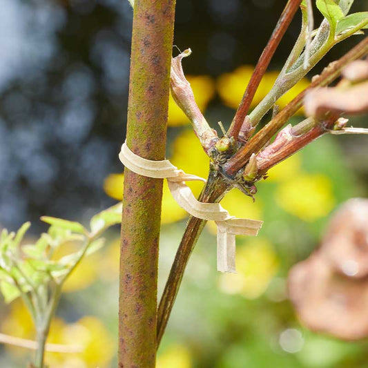 40m Eco TwistyTie-Easy Garden Centre