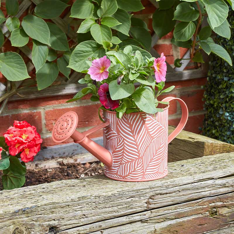 PlanterCan - Fern - Terracotta-Easy Garden Centre