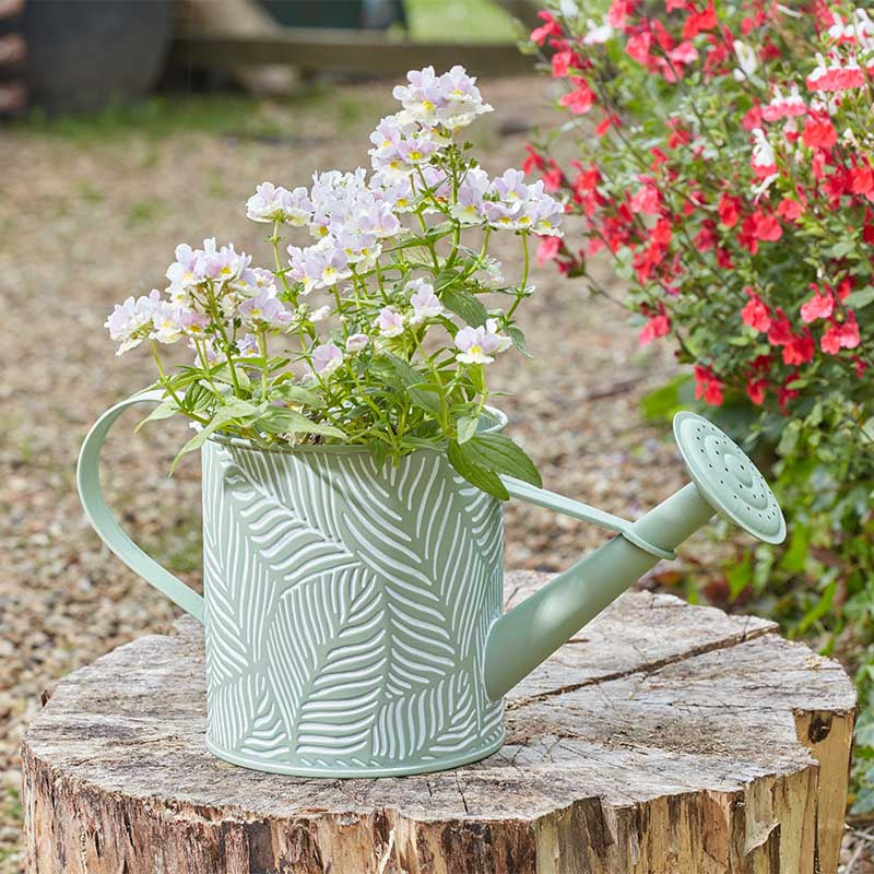 PlanterCan - Fern - Sage-Easy Garden Centre