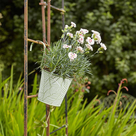 6in Fence & Balcony Hanging Pot - Fern - Sage-Easy Garden Centre