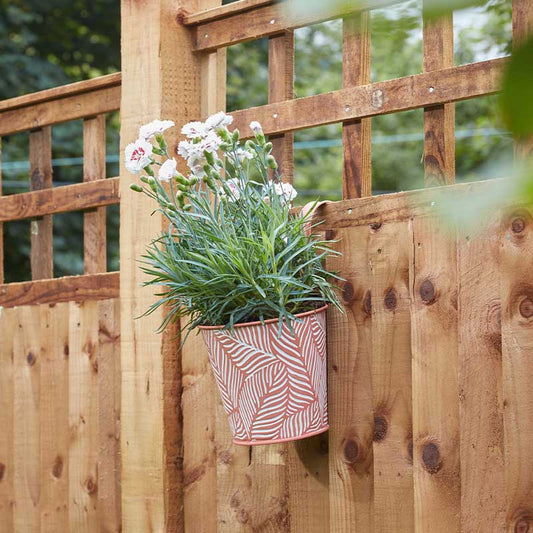6in Fence & Balcony Hanging Pot - Fern - Terracotta-Easy Garden Centre
