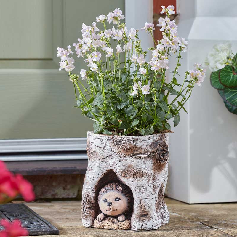 Hog Log Planter-Easy Garden Centre
