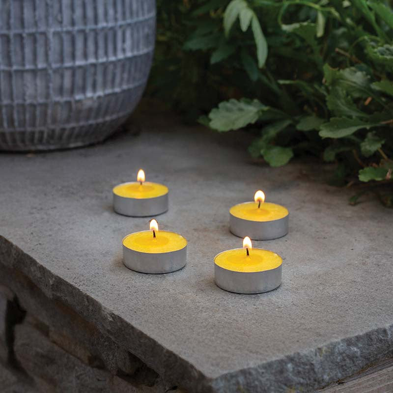 Citronella T-Lights 100pk-Easy Garden Centre