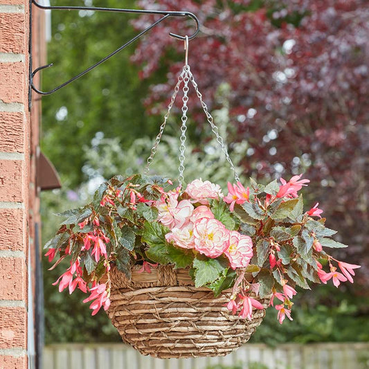 14in EcoGrass Hanging Basket-Easy Garden Centre
