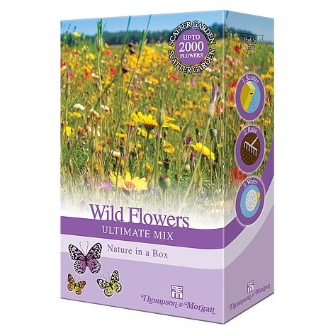 Wild Flower Ultimate Mix-Easy Garden Centre