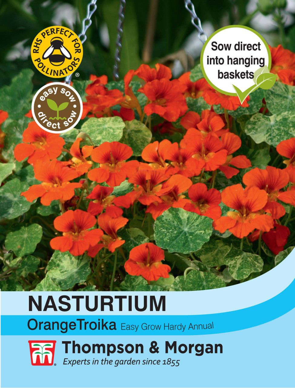 Nasturtium Orange Troika-Easy Garden Centre